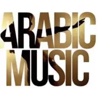 TikTok Profile - ilikearabicmusic