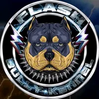 flashbully