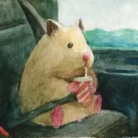 TikTok Account - https://p77-va.tiktokcdn.com/tos-maliva-avt-0068/7342994770085543979~tplv-tiktokx-cropcenter-q:200:200:q70.webp