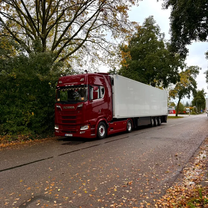 denis530s