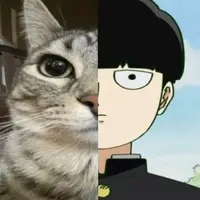 kittywilly899