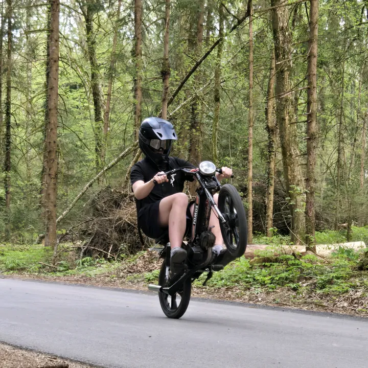 budala_na_motoru