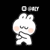 TikTok Profile - aly_capcut