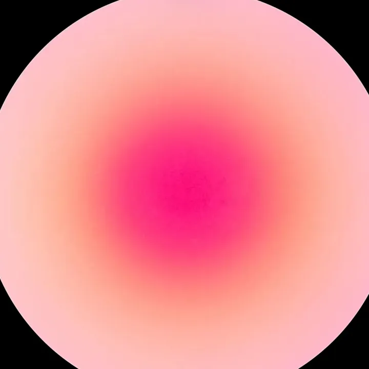 stellacarlotti