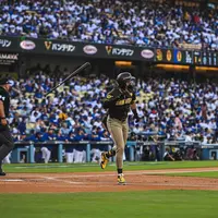 mlb0231