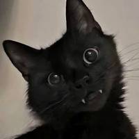 kabeypie