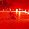 patin_gimnasia