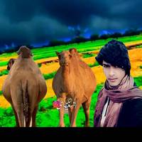 TikTok Account - https://p77-va.tiktokcdn.com/tos-maliva-avt-0068/90ef0b785b8de943dab16fd75d3dbd9a~tplv-tiktokx-cropcenter-q:200:200:q70.jpg