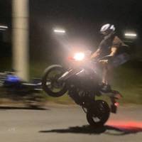pinheiro_310