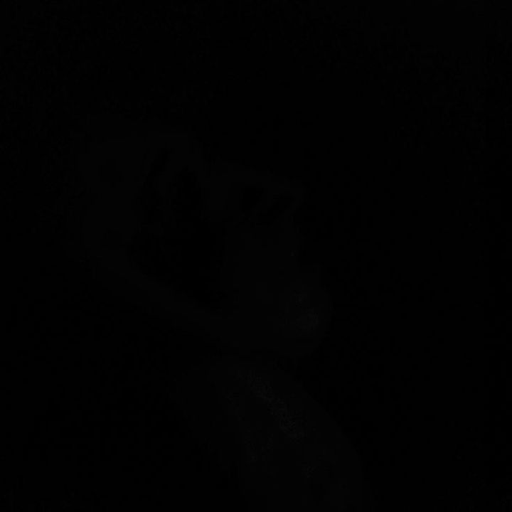 ihavenoideawhatsup