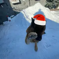 arturizm_1