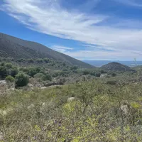 almendra.guerrero2