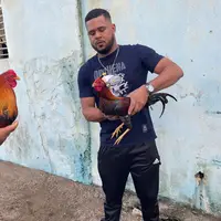 trabaelsalitre