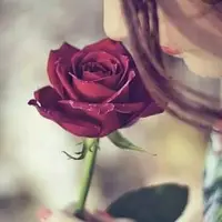aytul_46