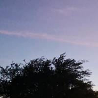 mb_motivacao