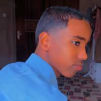 p4almer