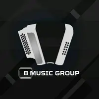 TikTok Profile - bmusicgroup