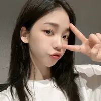 carat_seventeen_official