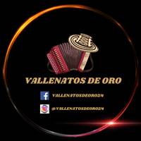 vallenatosdeoro24