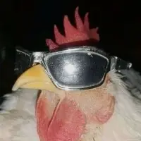 yourlocalelderabuser