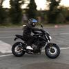 leloup_biker
