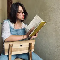 lessigoff