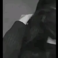 xiomara.nataniel78