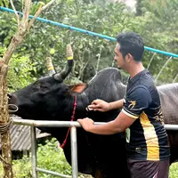 sarawutthongmebou