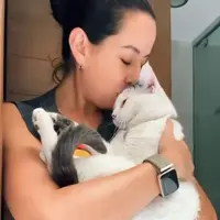 psic.lorenaamescua2