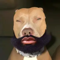 papasote365