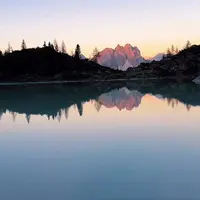 pouconpapasyskibidi