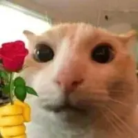 tinkeredits1