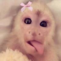 erickitadlcm