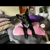 charline_unperfektperfek