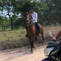 royerramos28