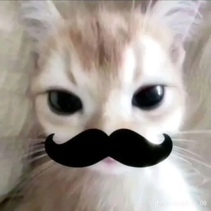 siyahiy_