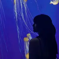aezy_.02
