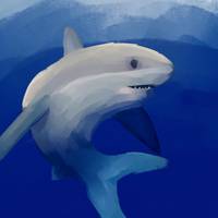 spicy.shark29