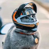 frases_bonitasdeamor1723