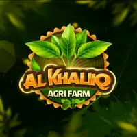 usmankhaliq546