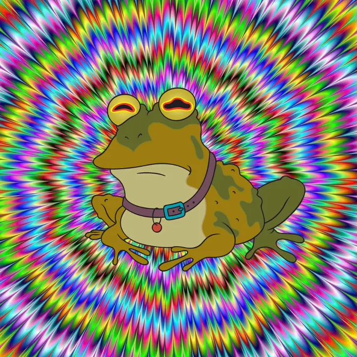 memes_colection