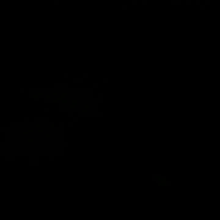 snusmumriken0.2