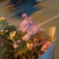 ina_abdirizak67