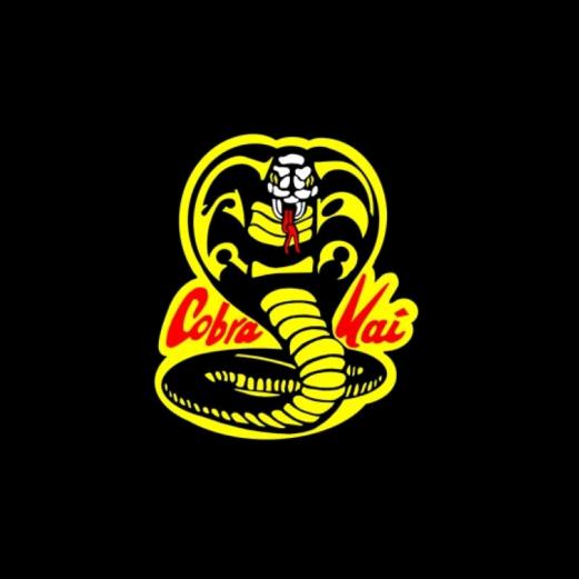 🦄 @edits_.._cobrakai - Edits de cobra kai - TikTok