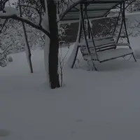 ira.hvrostenkoira