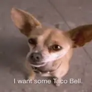fatburrito