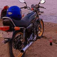 madroyy24