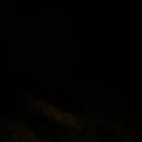 .music_lyrics_0