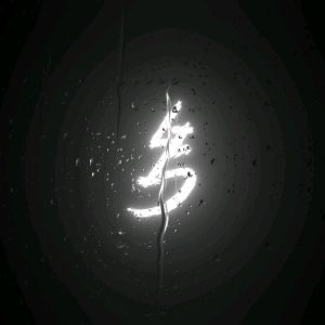 🦊 - original sound - 2lis4___