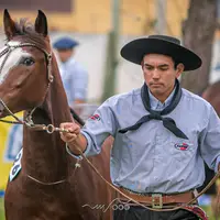 sergioelias59